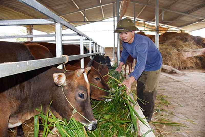 2019年越南农业发展前景