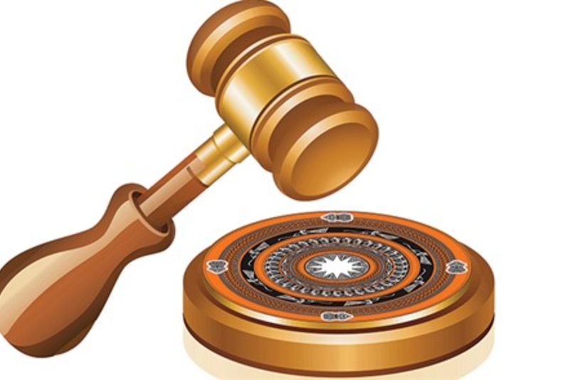 拍卖公告—越南电力集团持有的电力股份财政公司