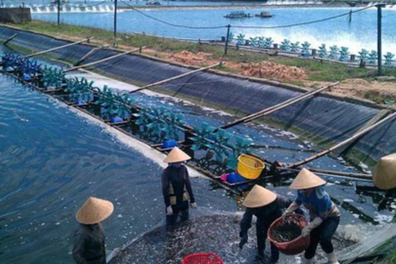 BÁO CÁO NGÀNH THỦY SẢN VIỆT NAM