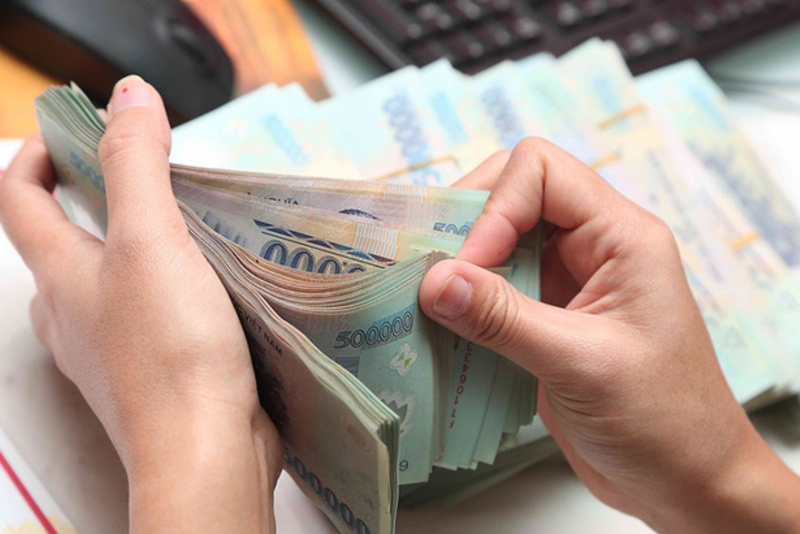 越南国家预算收支情况在头5月如何？