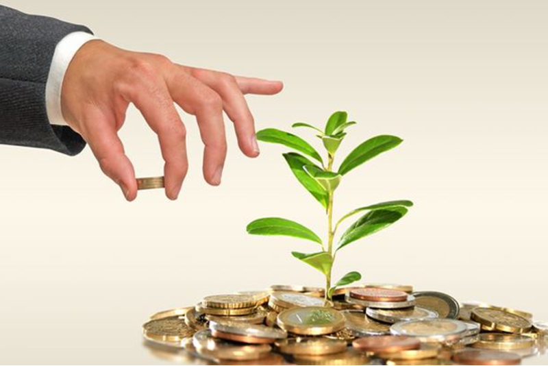 2019年01月08日-除权登记日的信息