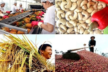 越南农业贸易顺差达68亿美元