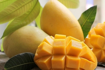 越南胡志明市吸收外资达近5亿美元