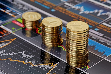 2018年11月22日-除权登记日的信息