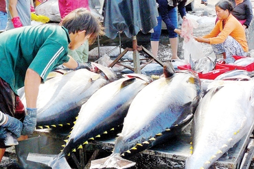 日本成为越南水产品的主力出口市场之一