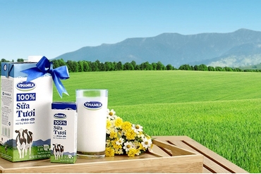 越南Vinamilk公司第二次支付股息达1.7万多亿越盾
