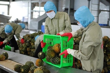 EVFTA 对越南农业带来许多挑战