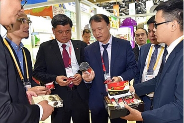 越南参加第二届中国国际进口博览会