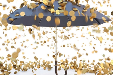 2018年10月24日-除权登记日的信息