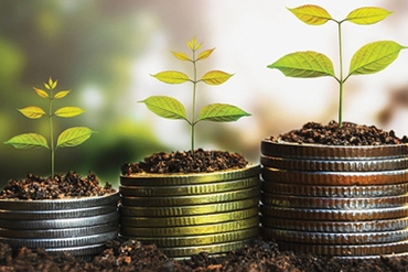 2018年10月16日-除权登记日的信息