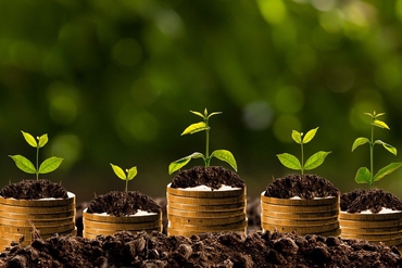 2018年11月15日-除权登记日的信息