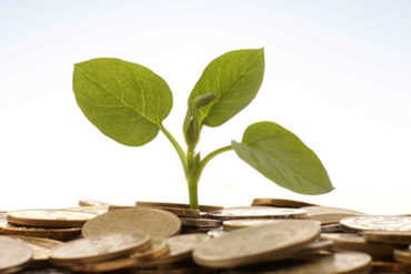 2018年11月16日-除权登记日的信息