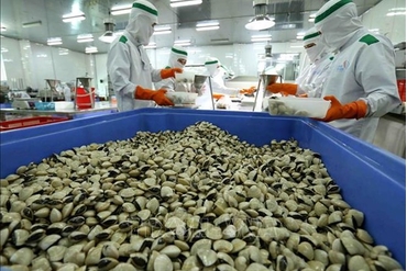 2019年头两个月越南水产业蓬勃发展