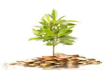 2018年11月01日-除权登记日的信息