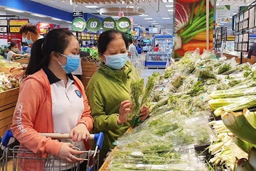 BÁO CÁO PHÂN TÍCH SED: CỔ PHIẾU CỔ TỨC TIỀM NĂNG TRONG MÙA COVID