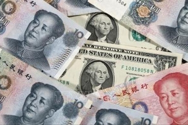 2019年02月13日-除权登记日的信息