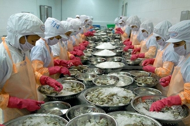 VASEP预计：2019年第二季度越南水产品出口将增长8%