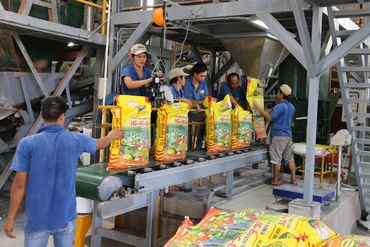 CPTPP签署后，越南对日本加快出口