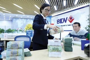 Nhiều ngân hàng rục rịch báo lãi năm 2022