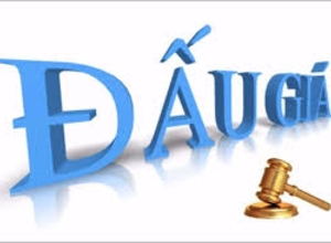 HƯỚNG DẪN THAM GIA ĐẤU GIÁ