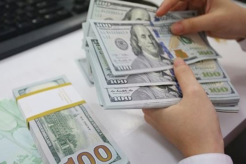 越南国家金库购买外币，如何看待？