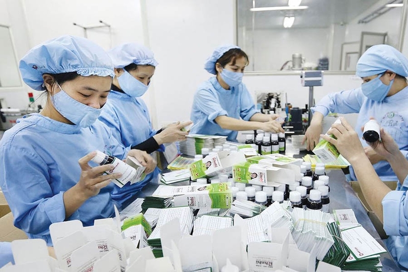 印度企业对越南海阳省投资面积900公顷的国际药植园