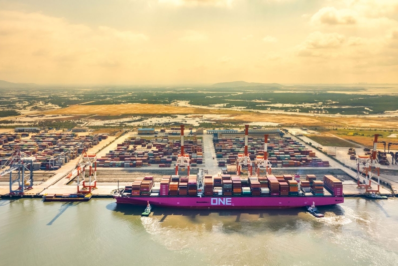 越南政府副总理武德儋：南部各省市要尽快开展疫苗接种工作