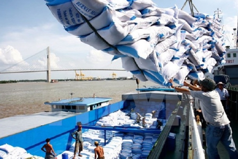 今年前6个月越南大米出口量超过300万吨，出口额达近16.5亿美元