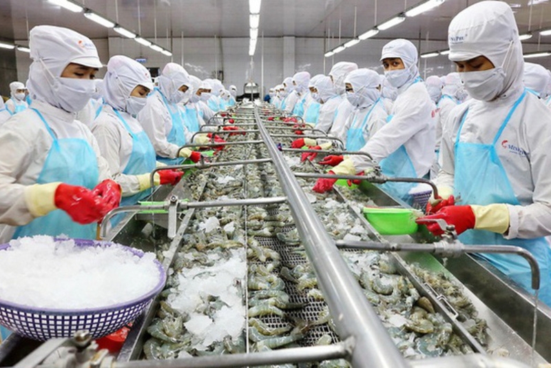 越南巴沙鱼对美国的出口增长良好