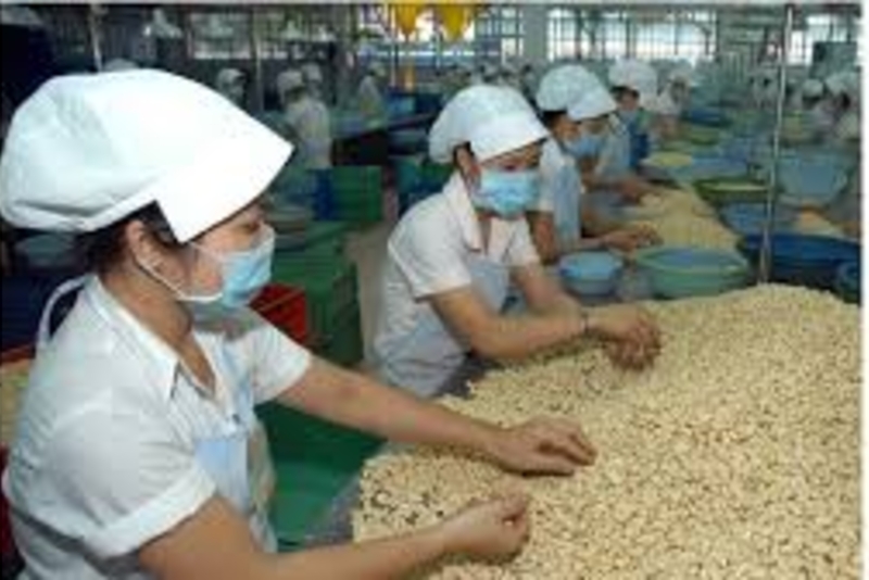 越南商品在欧洲市场所占的份额为2％
