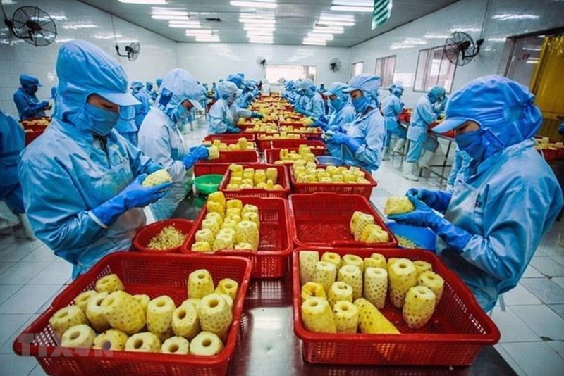 美国和中国是越南农林水产品的最大进口市场