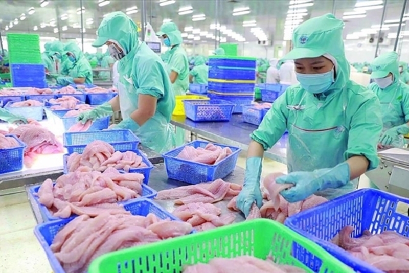越南水产品出口额达到80亿美元
