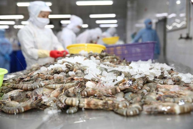 2021年越南虾类的出口额有望超过40亿美元