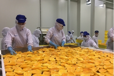 2021年8月，越南农林水产的出口下降21.6%