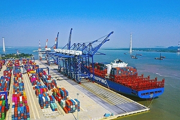 越南集装箱股份公司（Viconship）决定以10%的比例支付2021年的股息