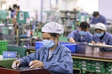 专家高度评价越南复苏能力
