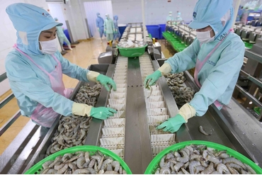 2021年前4个月，越南农林水产品的出口额约达171.5亿美元