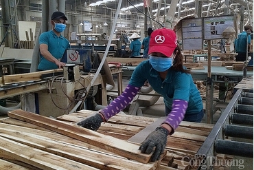 越南木材和木制品出口额第三次突破15亿美元/月