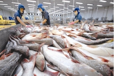 2022年，越南查鱼出口世界上140多个市场