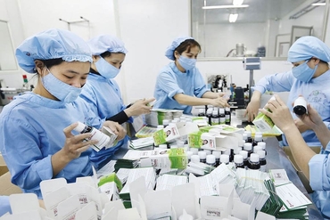印度企业对越南海阳省投资面积900公顷的国际药植园