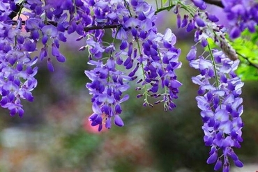 在诸多股票被低估时，哪些股票成为外国投资者的投资首选