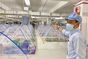 越南企业重组结构适应疫情