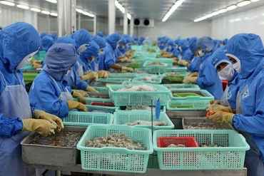 得益于EVFTA，越南向欧盟出口额达近48亿美元