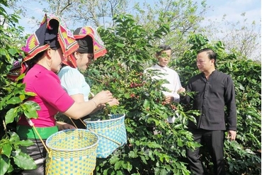 努力提升山罗咖啡品牌知名度逐步征服质量要求苛刻的市场