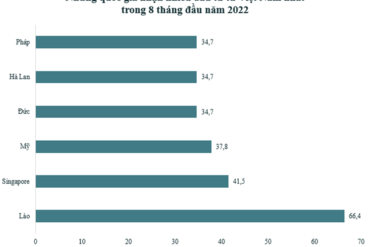 2022年前8个月，越南对外投资资金主要流入哪个国家？