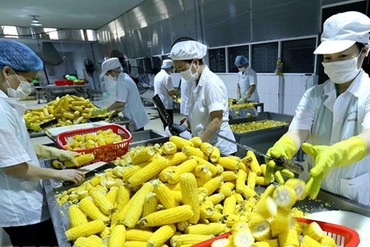 越南充分开发向澳大利亚出口农产品的潜力