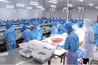 位于越南南部30- 40%的水产品企业以“三就地”模型运营