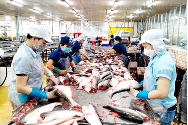 商品查鱼价格大涨