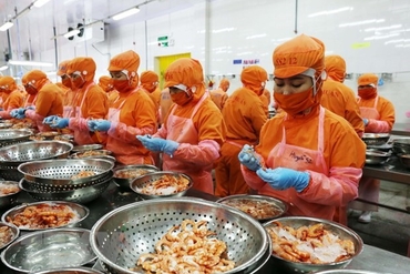 印度希望与越南合作发展水产业