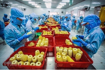 美国和中国是越南农林水产品的最大进口市场